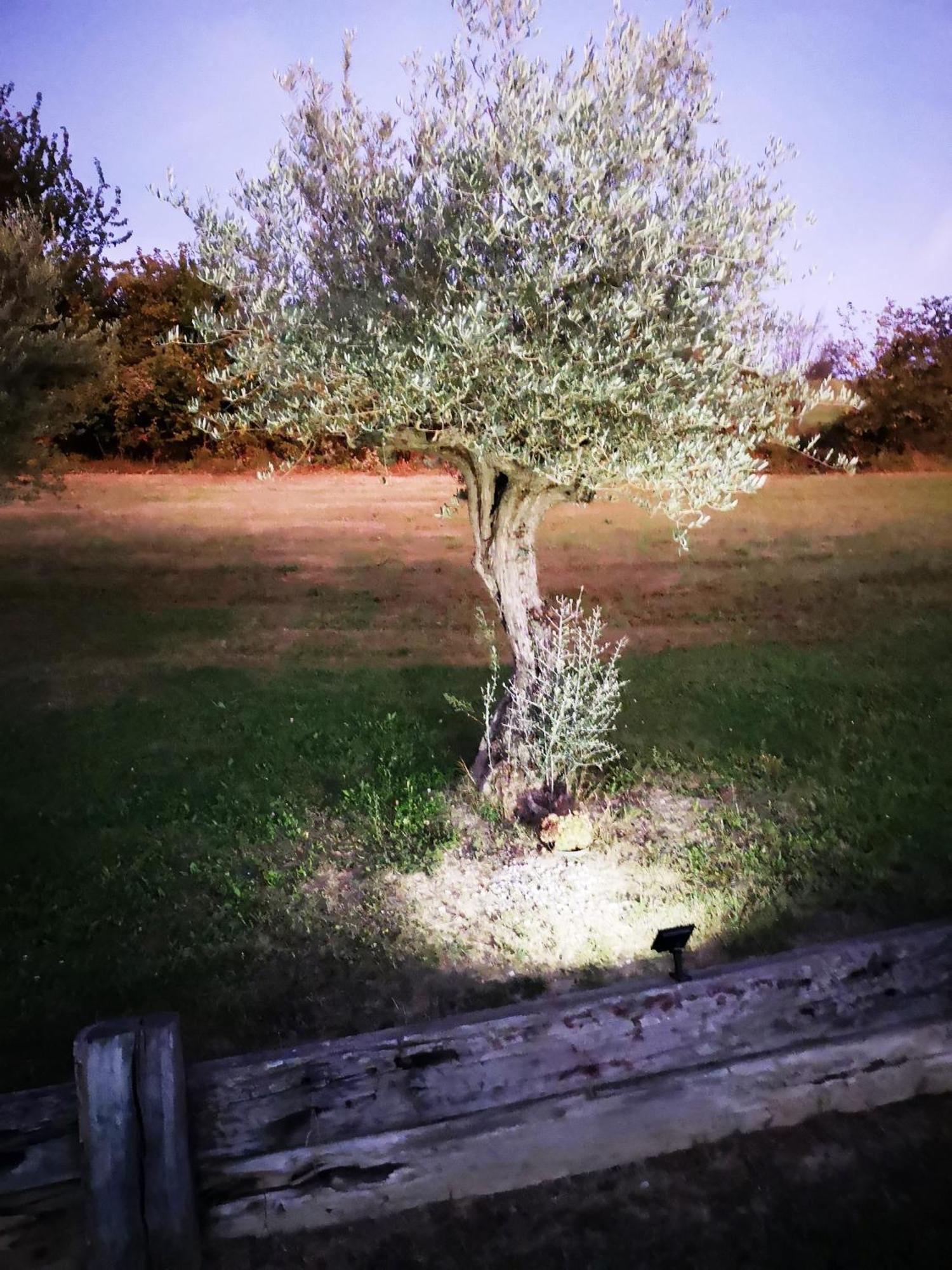 Borgomale Casa Del Canta מראה חיצוני תמונה