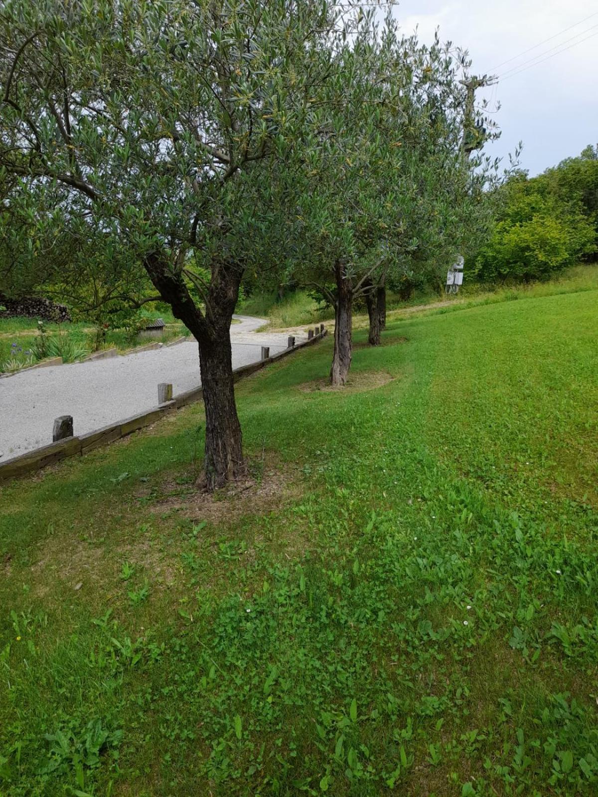 Borgomale Casa Del Canta מראה חיצוני תמונה